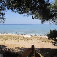 gellen-jennifer-photo-02