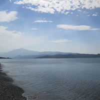 gellen-jennifer-photo-01