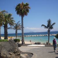 palfalvi-brigitta-photo-11